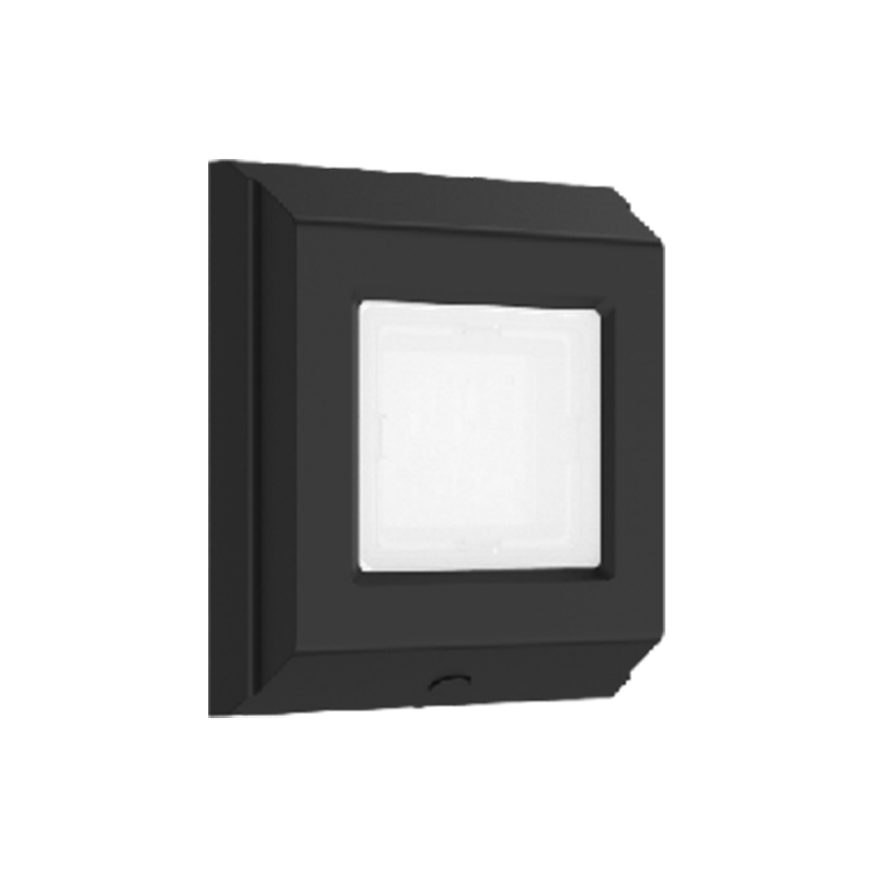 Security Light S-HWS2506WL