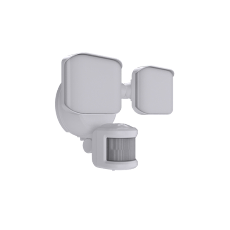 Security Lighting BTS25022H