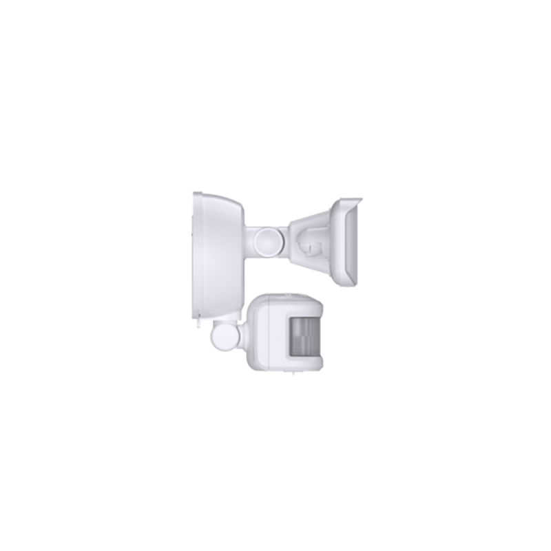Security Lighting BTS25023H