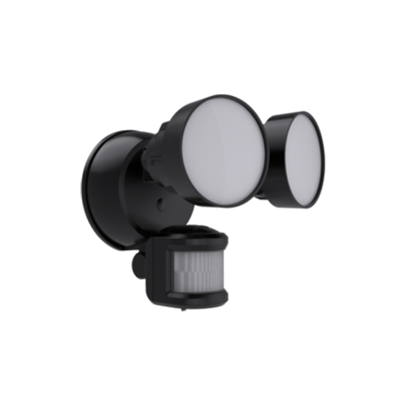 Security FloodLight HWS25022H