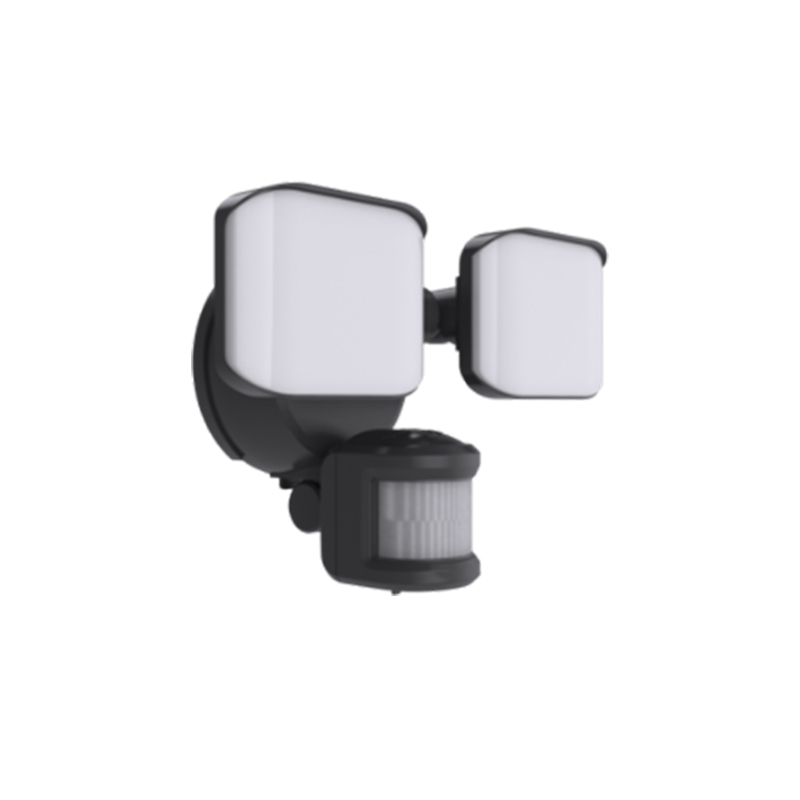 Security Lighting BTS25022H