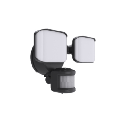 Security Lighting BTS25022H