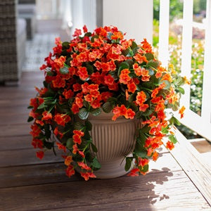 New 19" Faux Silk Morning Glory Short Vines