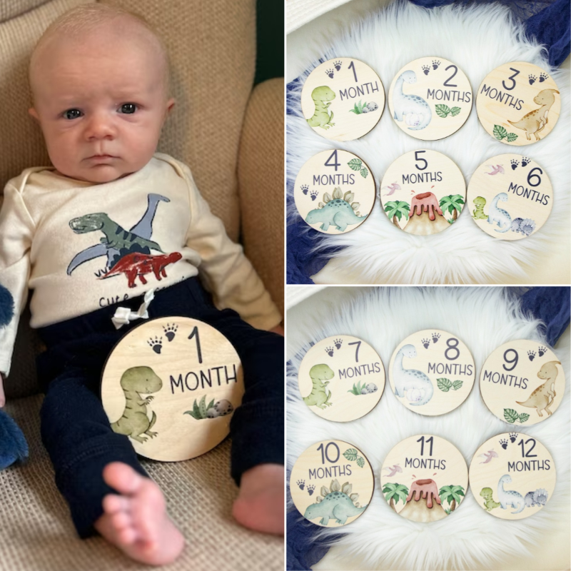 Baby Milestones Dinosaur Disc Markers