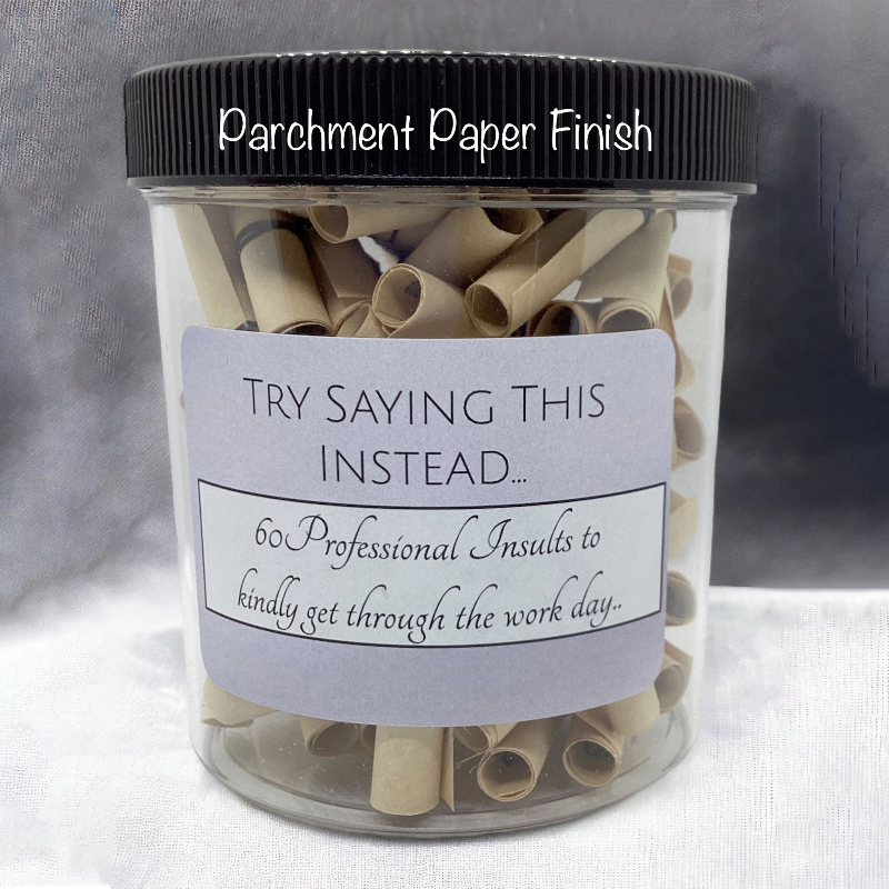 Professional Insults Affirmation Jar