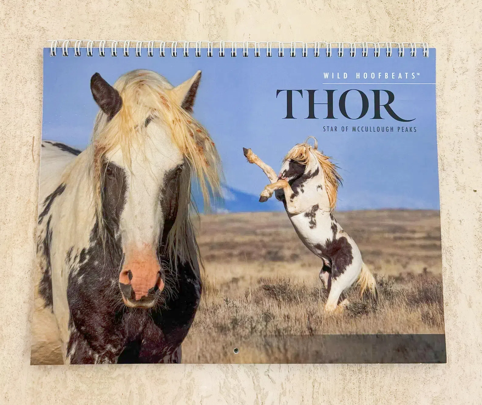 Wild Horse 2025 Thor Wall Calendar