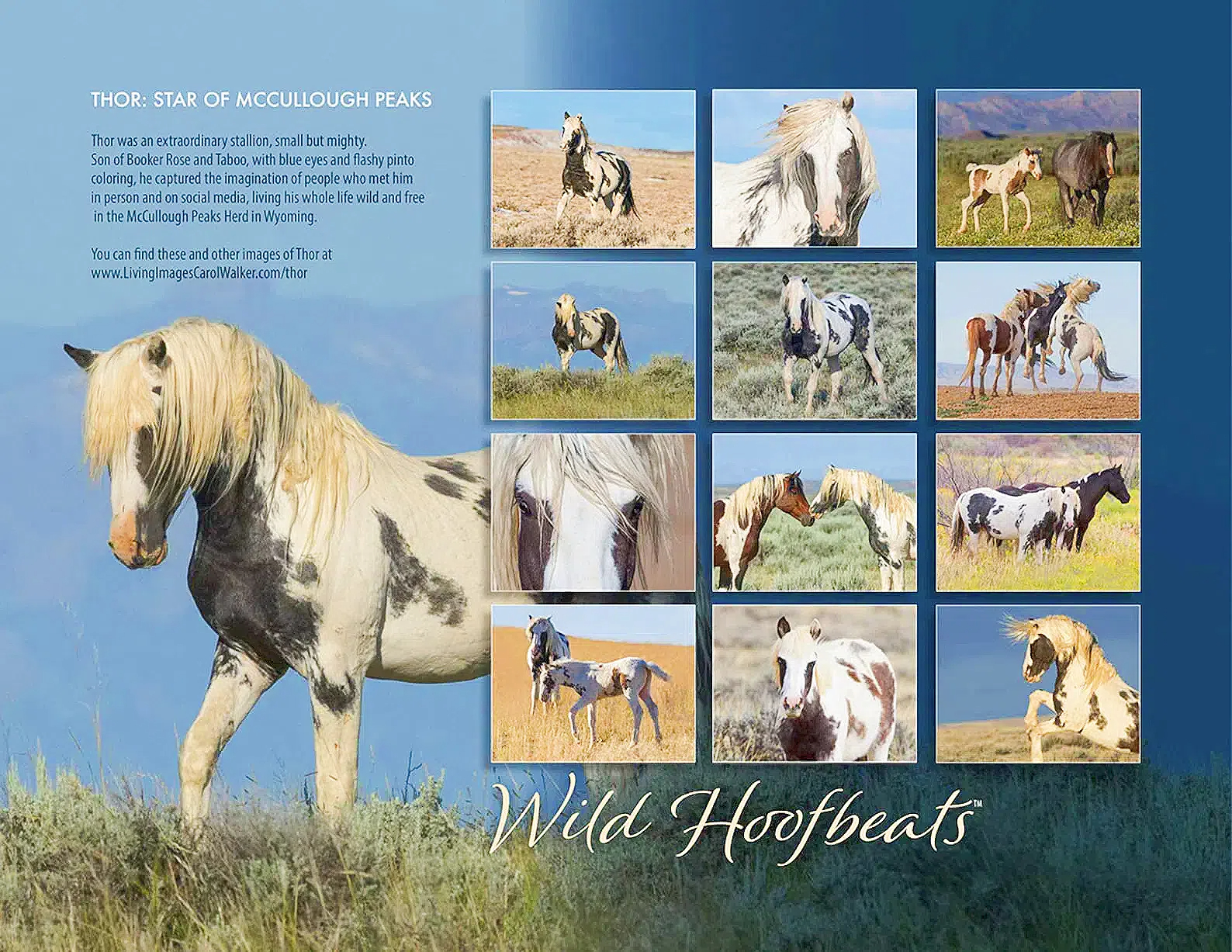 Wild Horse 2025 Thor Wall Calendar