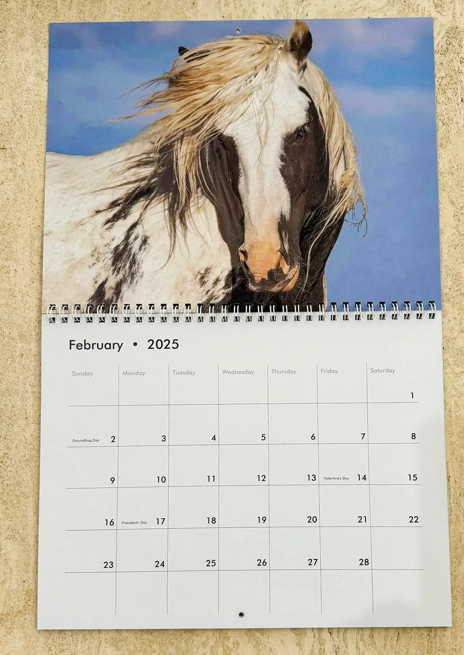 Wild Horse 2025 Thor Wall Calendar