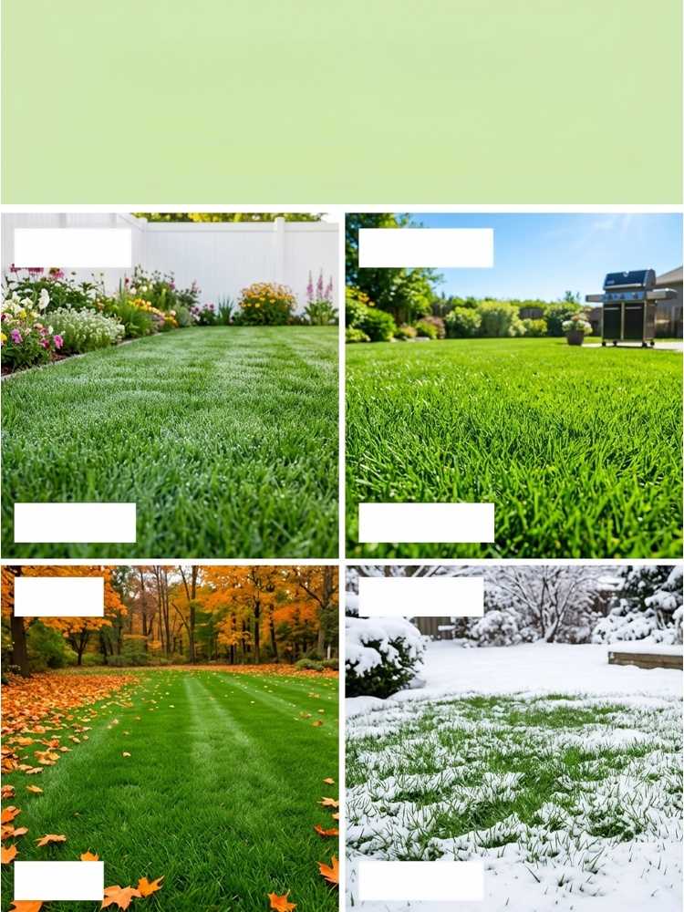 [99% Germination Rate in 7 Days] Multi-Variety Grass Seeds, No need to hire gardeners. Just scatter, water, and you're done.