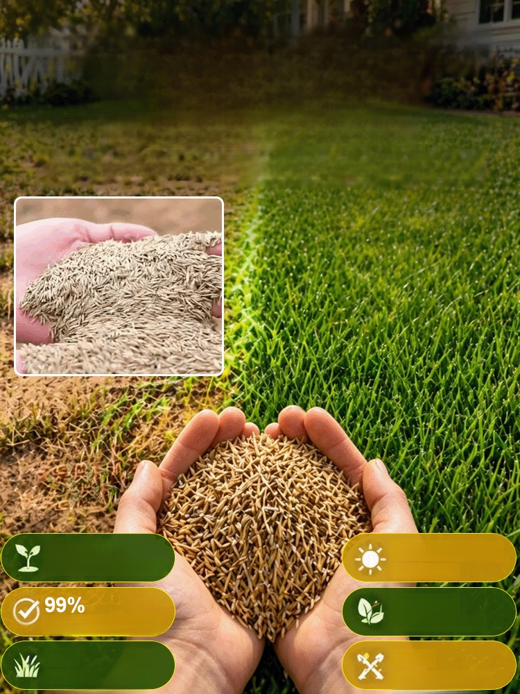 [99% Germination Rate in 7 Days] Multi-Variety Grass Seeds, No need to hire gardeners. Just scatter, water, and you're done.