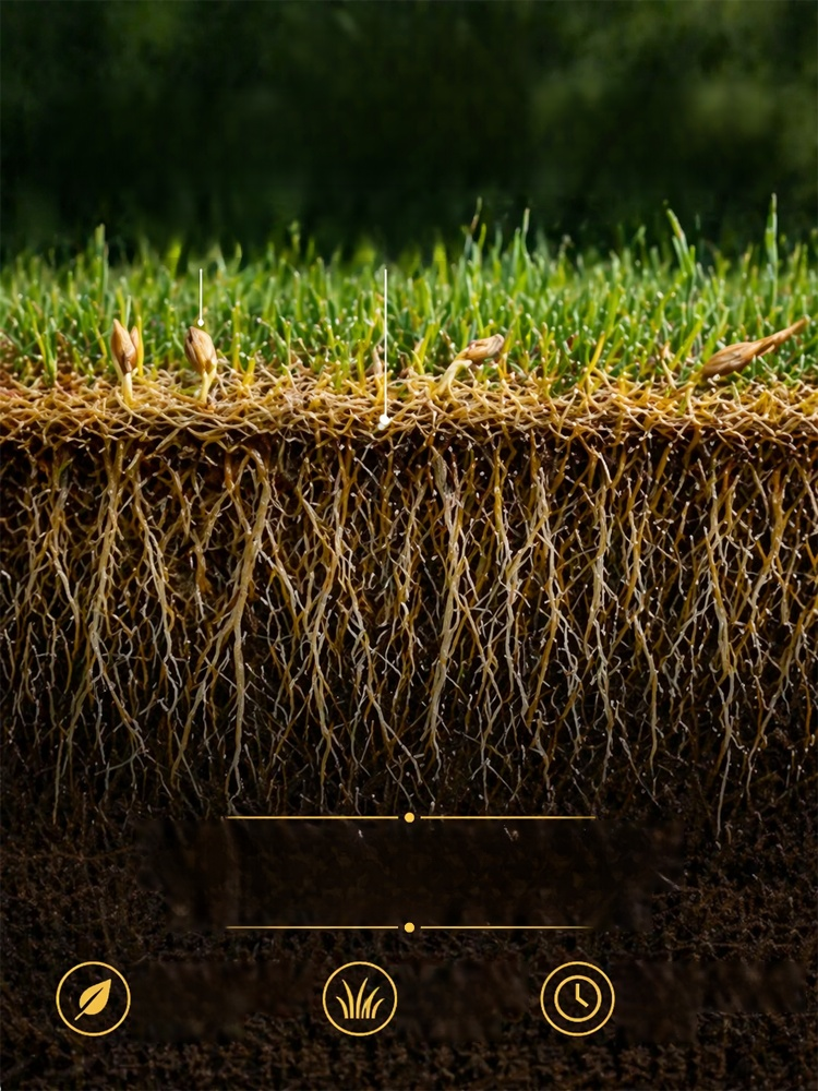 [99% Germination Rate in 7 Days] Multi-Variety Grass Seeds, No need to hire gardeners. Just scatter, water, and you're done.
