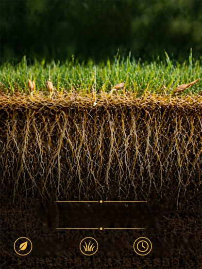 [99% Germination Rate in 7 Days] Multi-Variety Grass Seeds, No need to hire gardeners. Just scatter, water, and you're done.