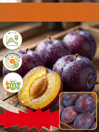 High-yielding and easy-to-care-for plum seedlings, Honey-sweet, juicy prunes in your garden. Ultra-hardy and incredibly easy to grow.