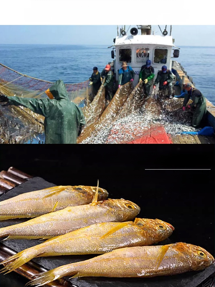 Wild-cooked Yellow Croaker from the Deep Sea! Lowers blood sugar in 7 days, low-temperature baked, 0 fat, 0 calories.