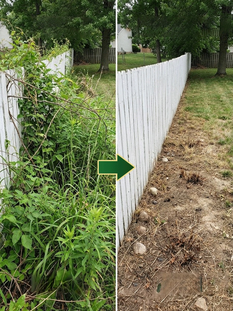 Herbicide and root rot control agent,  this product eliminates 99% of weeds down to the roots – permanently ✅!