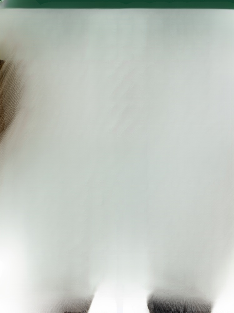 Thick, Full Hair. One Roll Away! Activate dormant follicles. Get thicker, fuller hair with our Rosemary Roller.