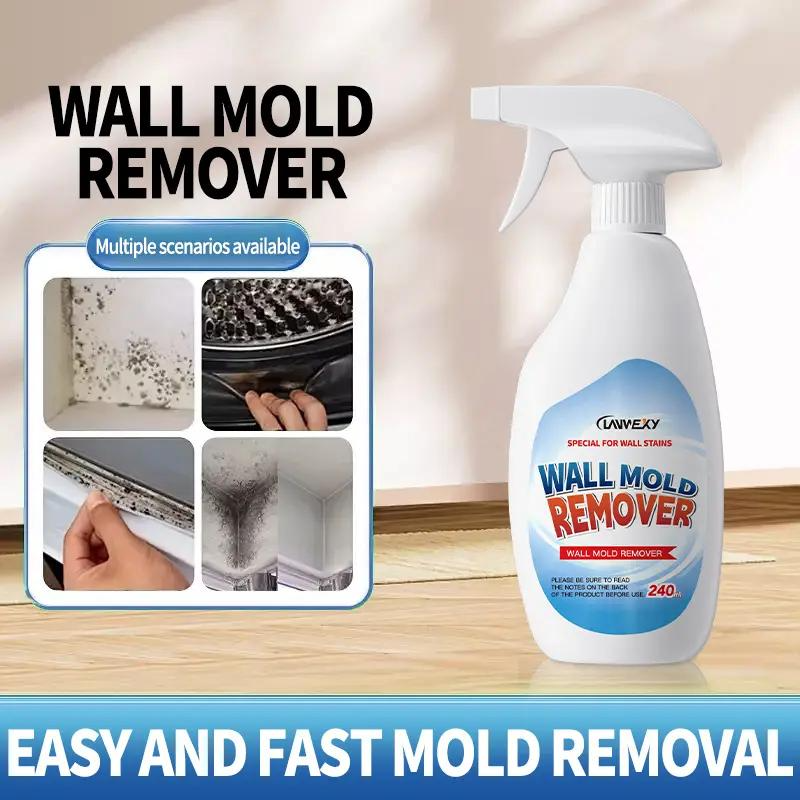 Highly Effective Mould Removal Spray Prevents Mould Regrowth for Mould-Free Home Protection