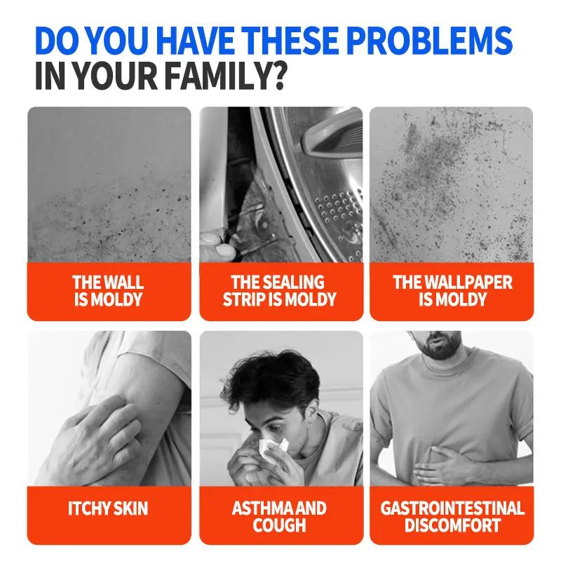 Highly Effective Mould Removal Spray Prevents Mould Regrowth for Mould-Free Home Protection