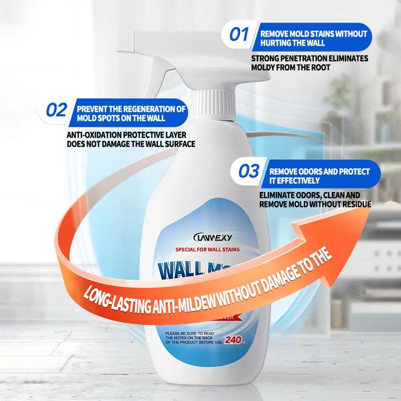 Highly Effective Mould Removal Spray Prevents Mould Regrowth for Mould-Free Home Protection