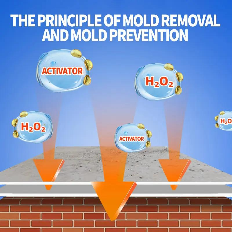 Highly Effective Mould Removal Spray Prevents Mould Regrowth for Mould-Free Home Protection