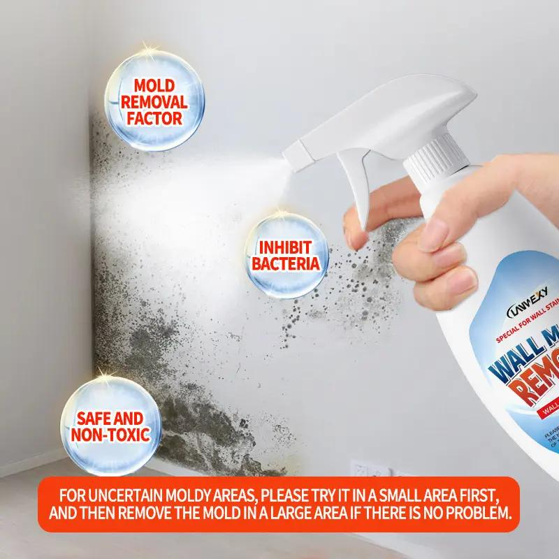 Highly Effective Mould Removal Spray Prevents Mould Regrowth for Mould-Free Home Protection
