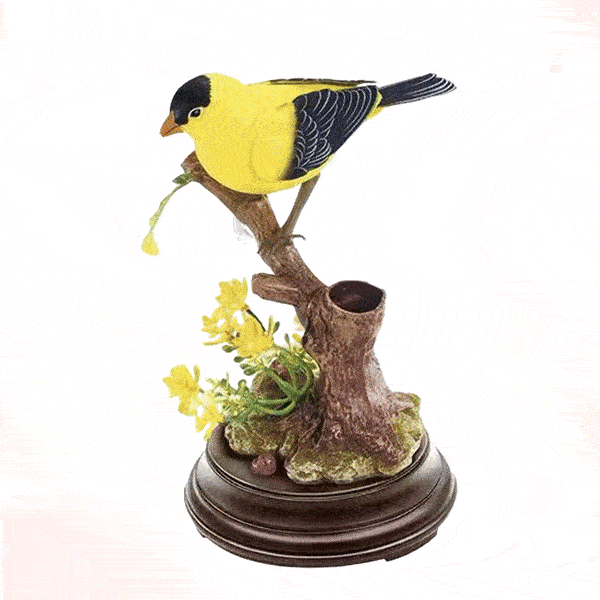 Ranowear ChirpBird™