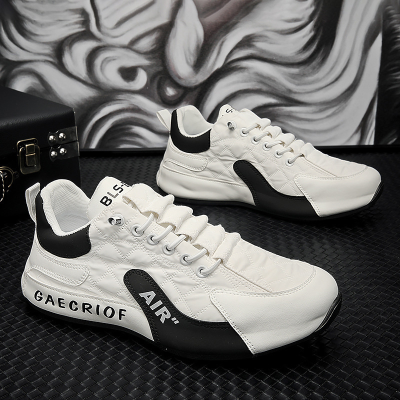 Herrenschuhe
