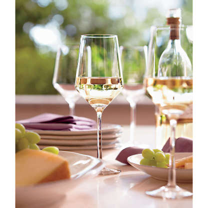 Modern Red Wine Glass