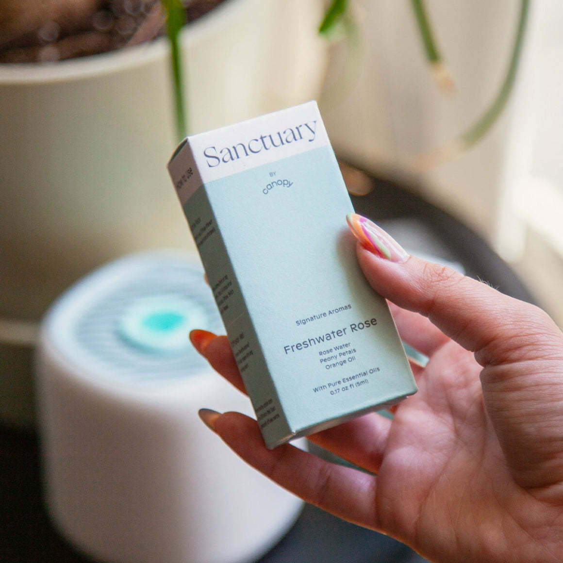 Sanctuary Essential Oil Aroma Kit