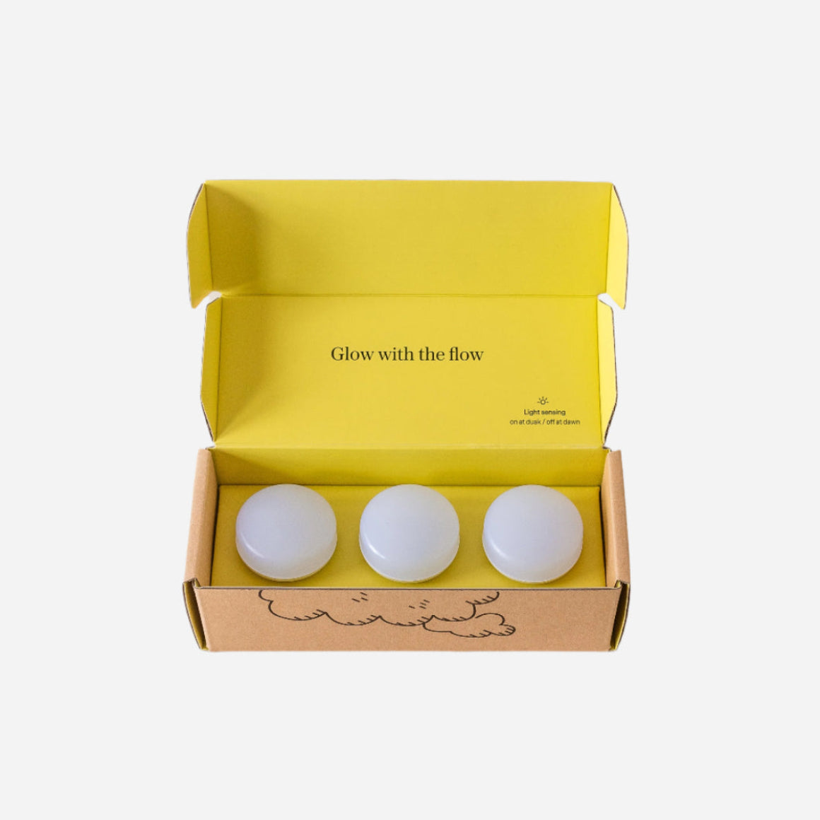 Dusk & Dawn Night Lights