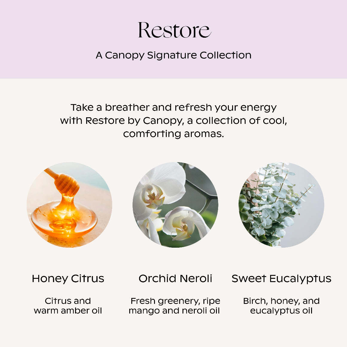 Restore Essential Oil Aroma Kit