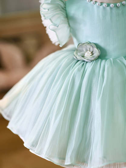 Toddler's 1st Birthday Party Dress in Knee-length Organza
