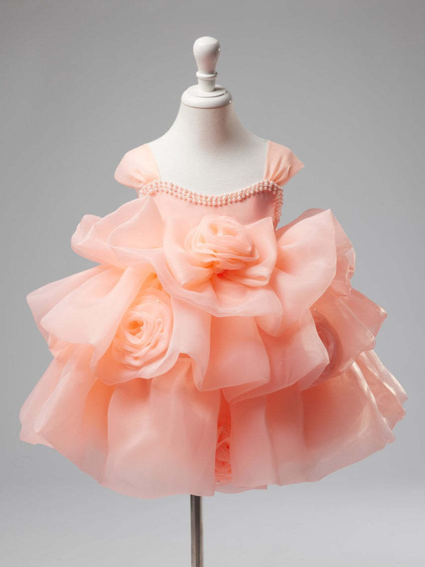 Knee-length Organza Baby Girl Dress with 3D Flowers for 1st Birthday