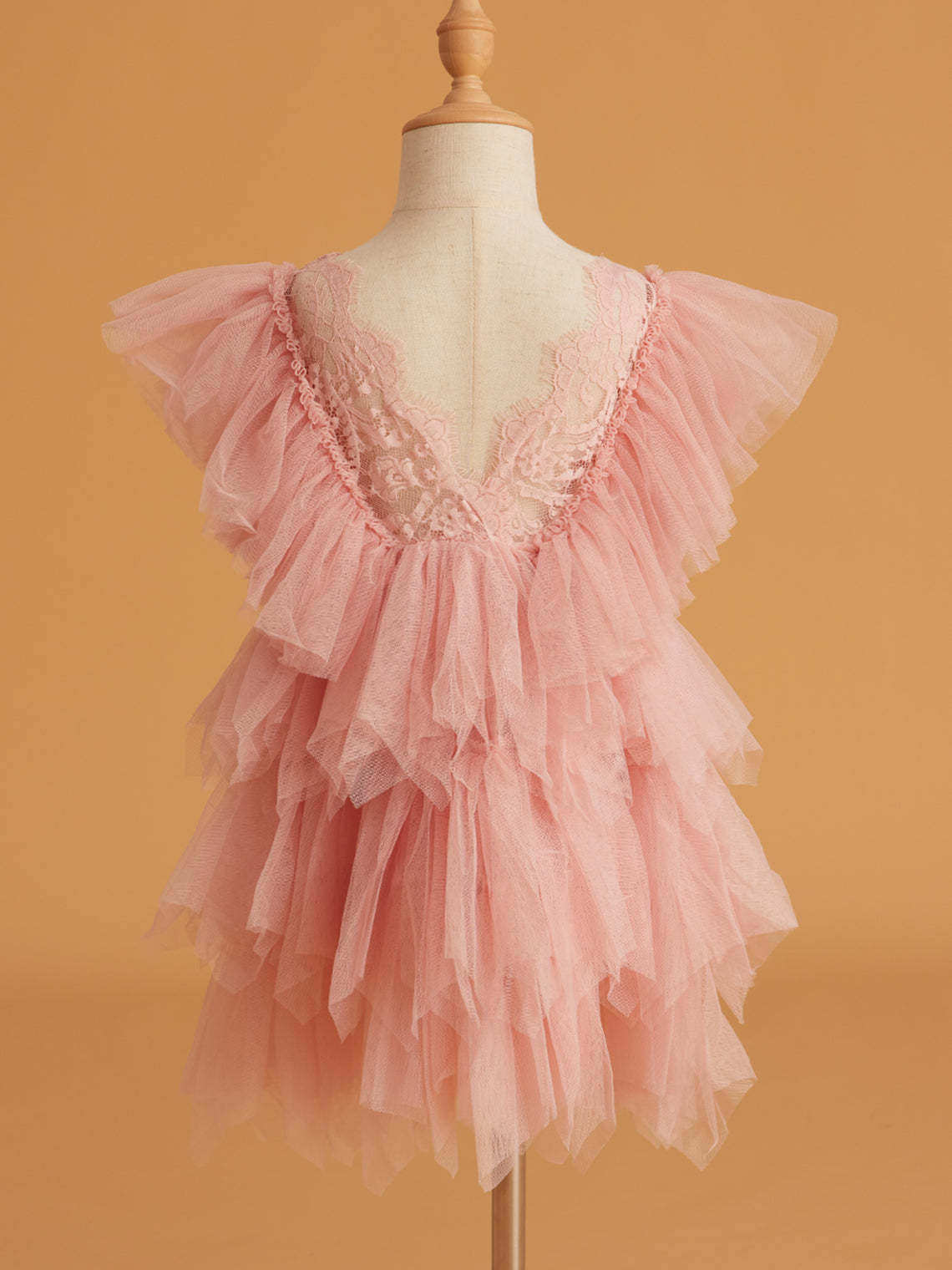 Short Tulle Dress with Lace