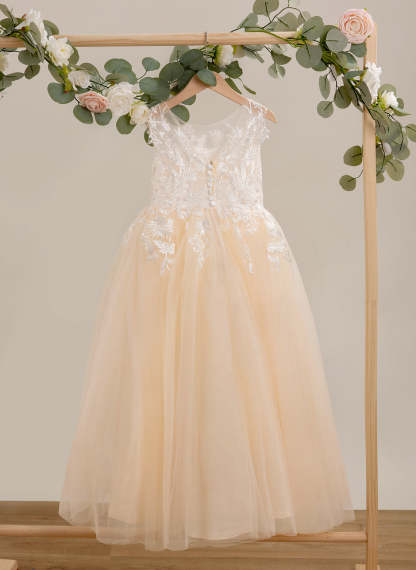 Pink Floor-length A-line Dress in Lace and Tulle