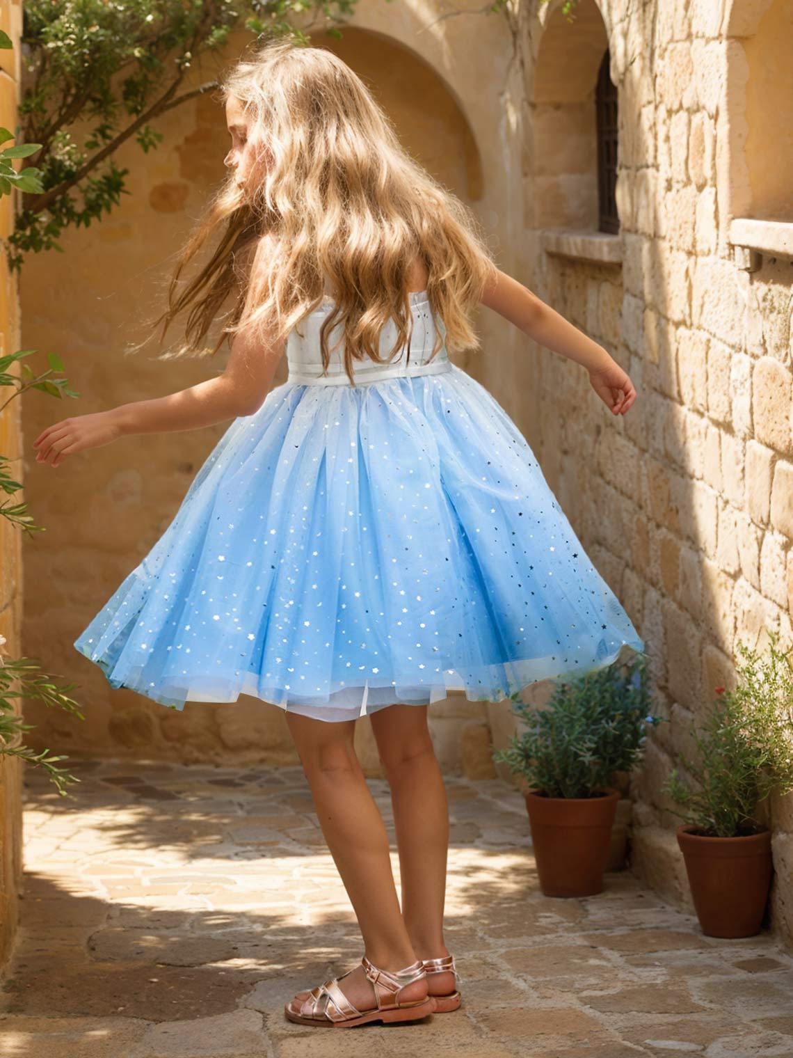 Blue Princess Tulle Ball-Gown Dress for Flower Girls Knee-length