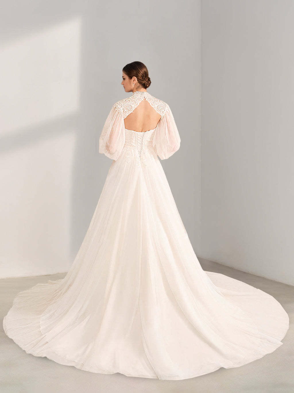 Princess A-Line Floor-Length Wedding Dress with Halter Neck, Long Sleeves, Lace & Appliques