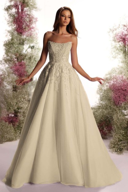 Tulle Strapless Sleeveless Long A Line Prom Dress With Appliques