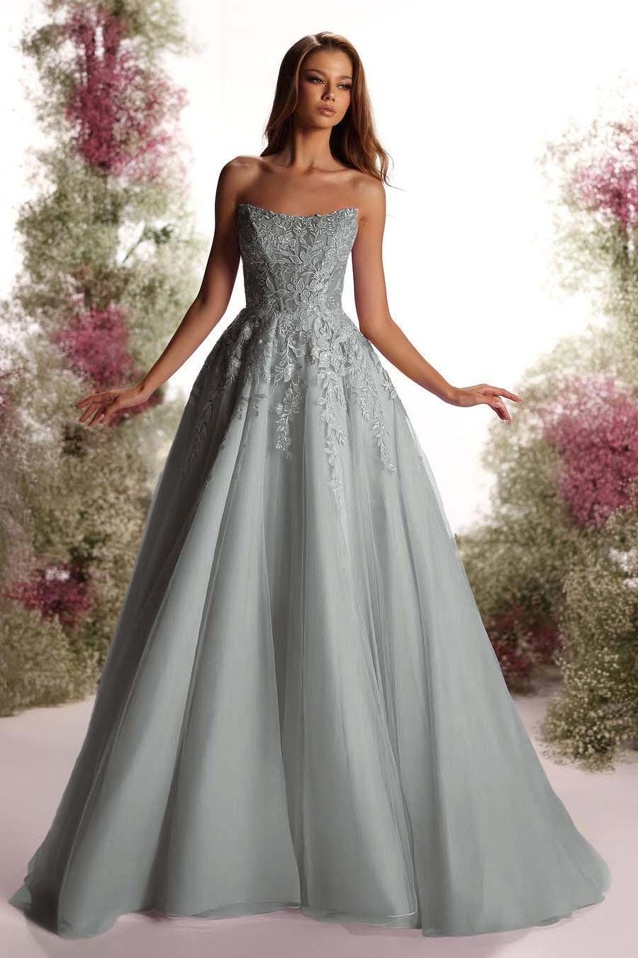 Tulle Strapless Sleeveless Long A Line Prom Dress With Appliques