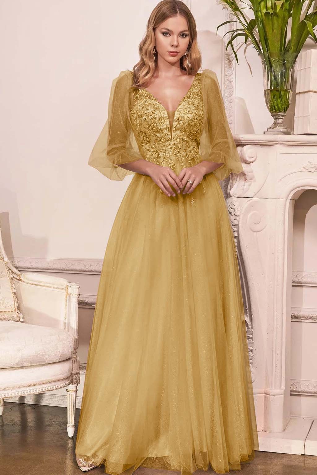 Charming Tulle V Neck Sleeveless Long Prom Dress With Appliques