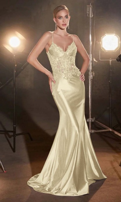 Spaghetti Strap Sleeveless Long Mermaid Prom Dress With Appliques