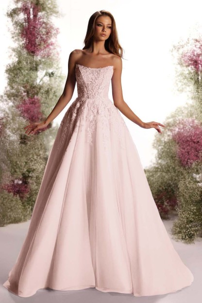 Tulle Strapless Sleeveless Long A Line Prom Dress With Appliques