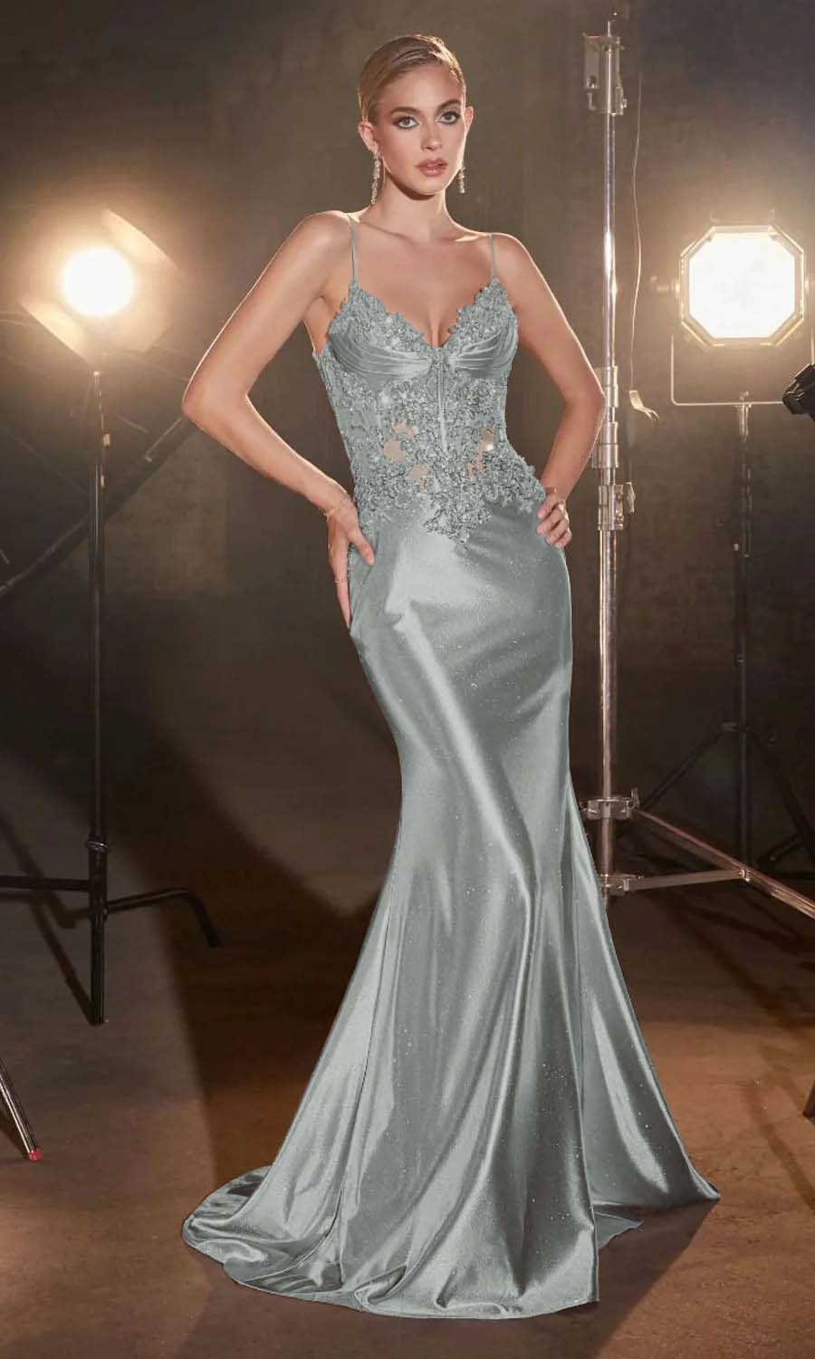 Spaghetti Strap Sleeveless Long Mermaid Prom Dress With Appliques