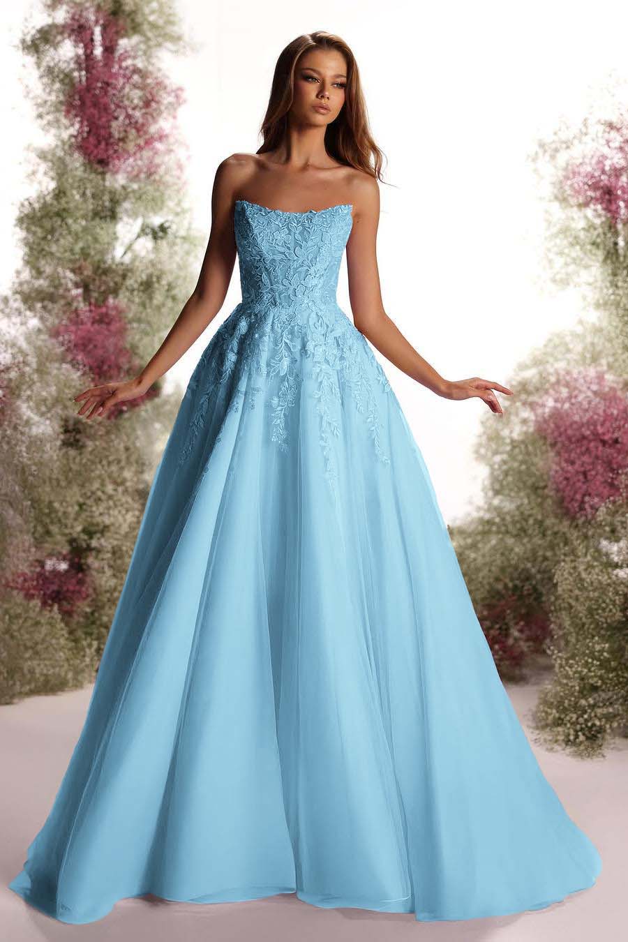 Tulle Strapless Sleeveless Long A Line Prom Dress With Appliques