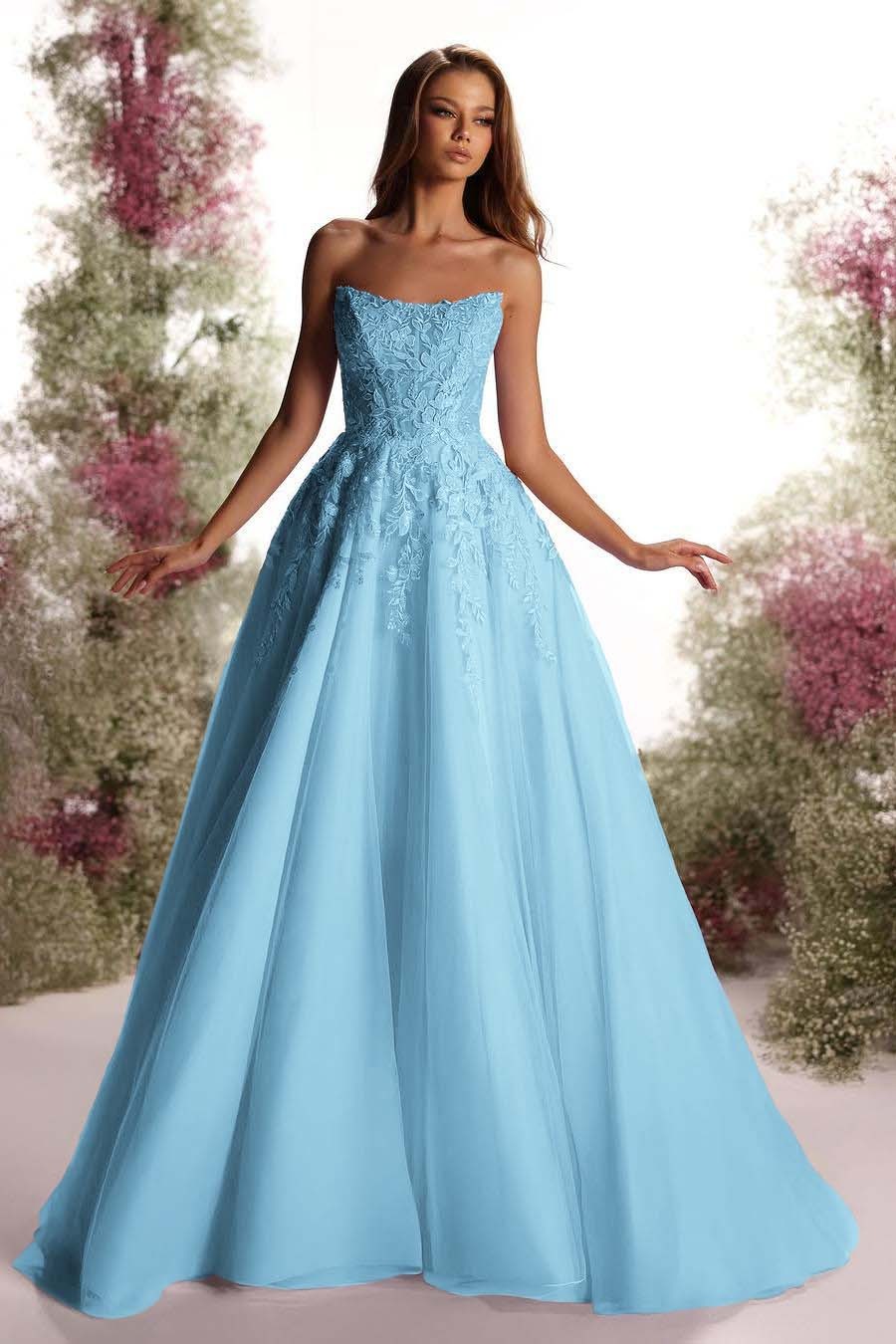 Tulle Strapless Sleeveless Long A Line Prom Dress With Appliques