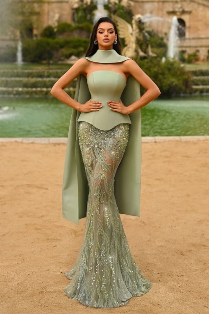 Strapless Sleeveless Long Mermaid Prom Dress With Appliques