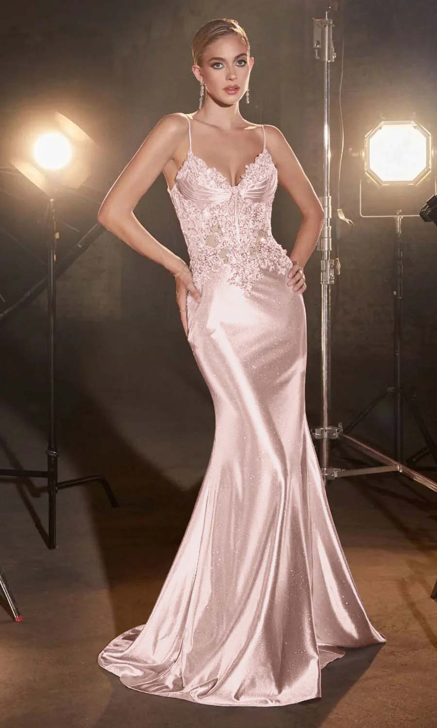 Spaghetti Strap Sleeveless Long Mermaid Prom Dress With Appliques