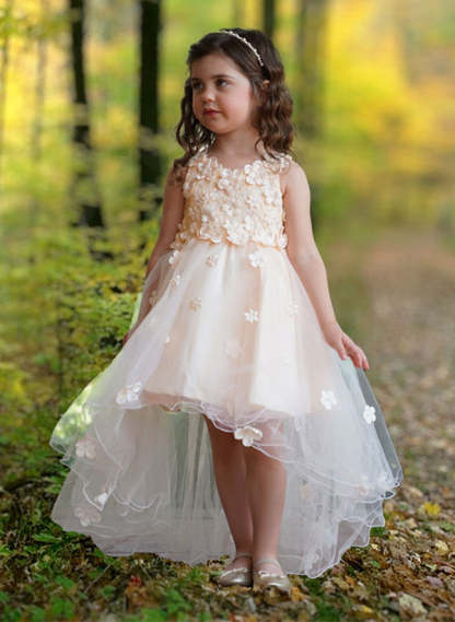 Princess A-Line Flower Girl Dresses Featuring Scoop Neck and Applique