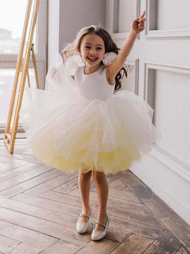 Flower Girl Dresses in Ombre Tulle Ball Gown Style with Ruffles
