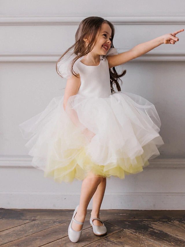 Flower Girl Dresses in Ombre Tulle Ball Gown Style with Ruffles